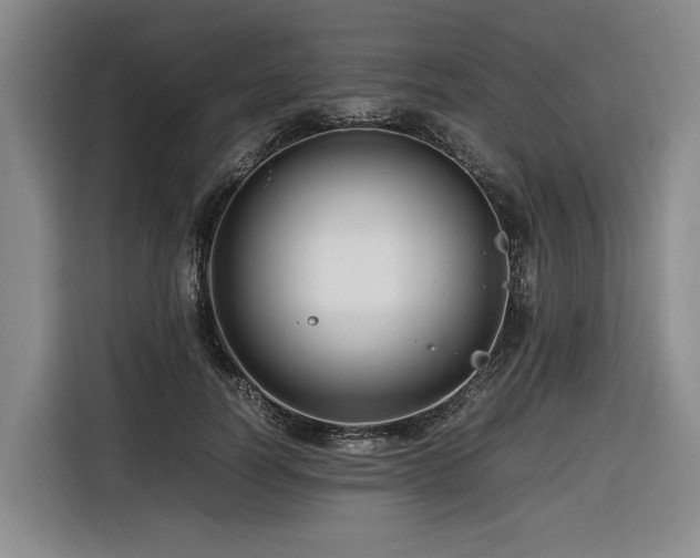 X0000116660746200912141320