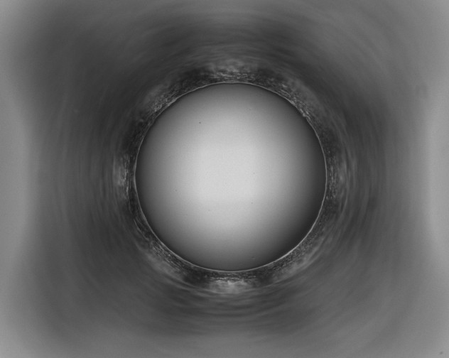 X0000116660749200912141320