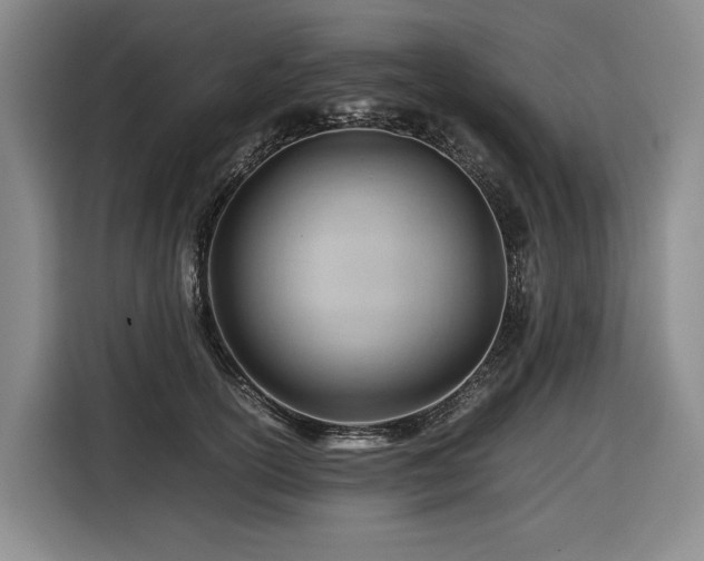 X0000116660754200912141320