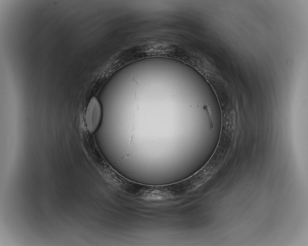 X0000116660755200912141320