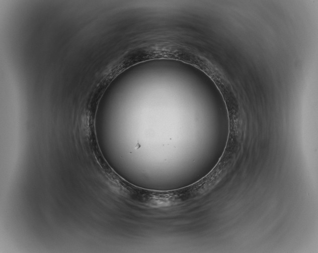 X0000116660757200912141320