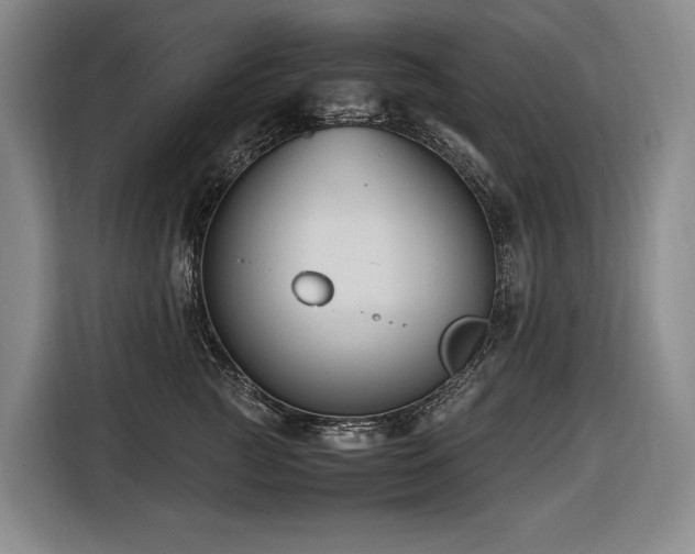 X0000116660761200912141320