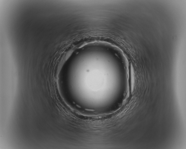 X0000116660769200912141320