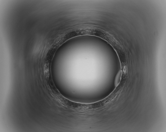 X0000116660771200912141320