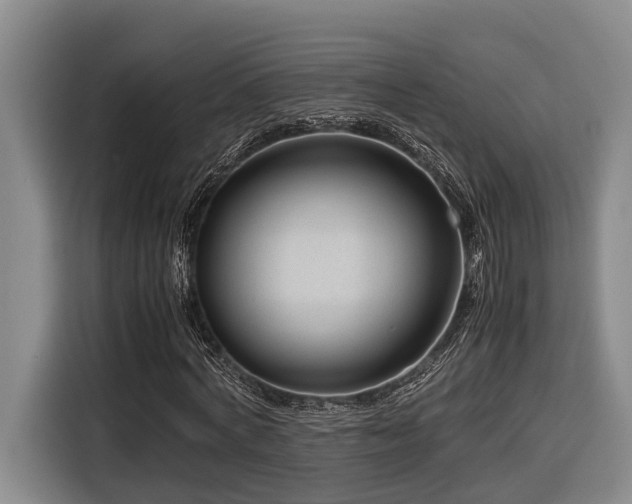 X0000116660772200912141320