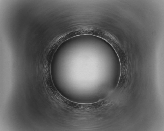 X0000116660773200912141320