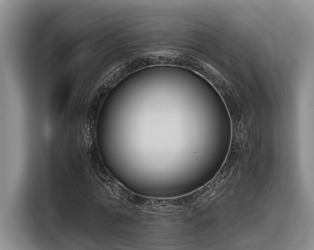 X0000116660774200912141320