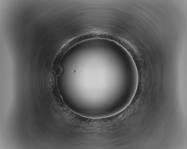 X0000116660776200912141320