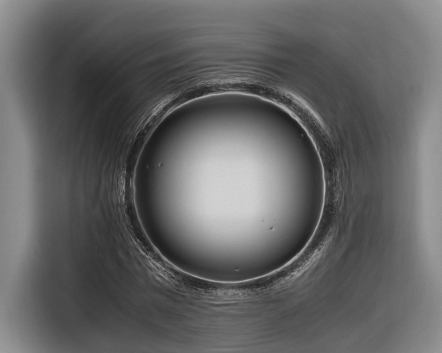 X0000116660777200912141320