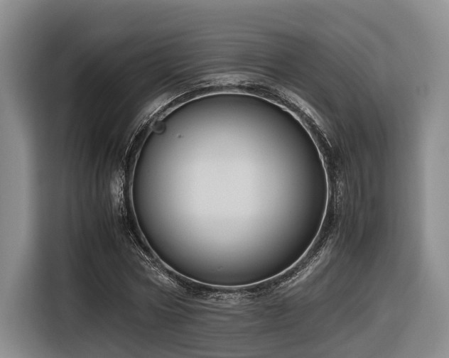 X0000116660778200912141320