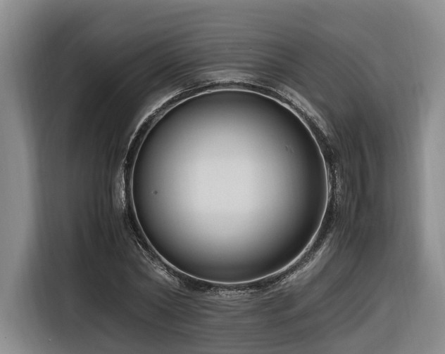 X0000116660782200912141320