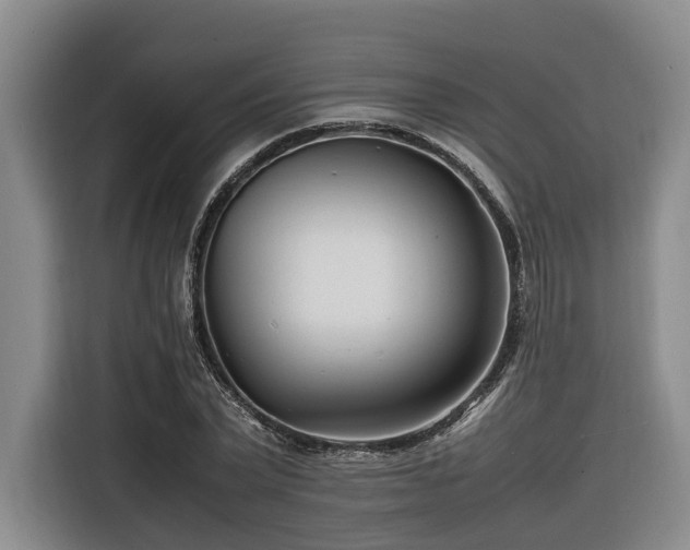 X0000116660783200912141320