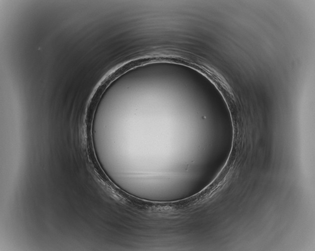 X0000116660784200912141319