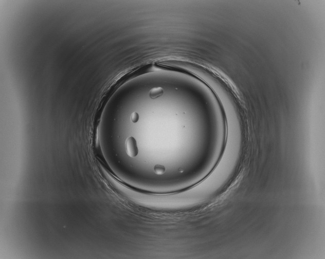 X0000116660785200912141319