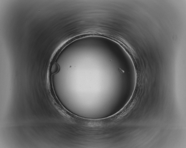 X0000116660788200912141319