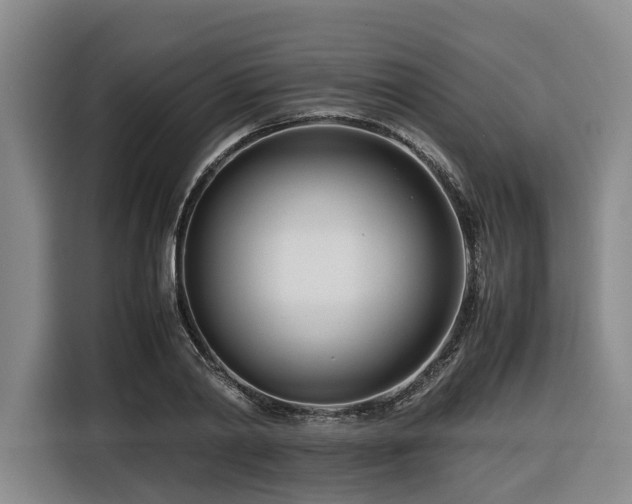 X0000116660790200912141319