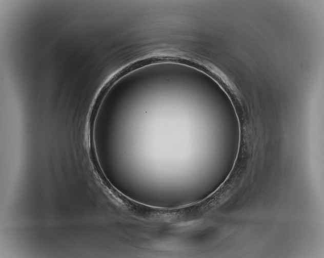 X0000116660791200912141319