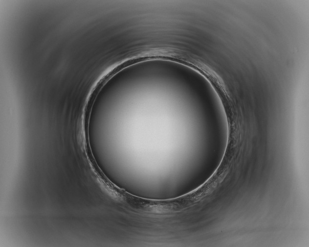 X0000116660792200912141319