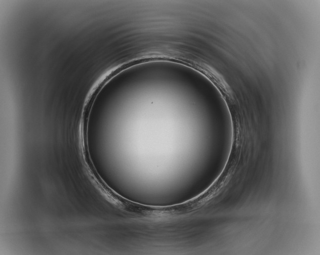 X0000116660796200912141319