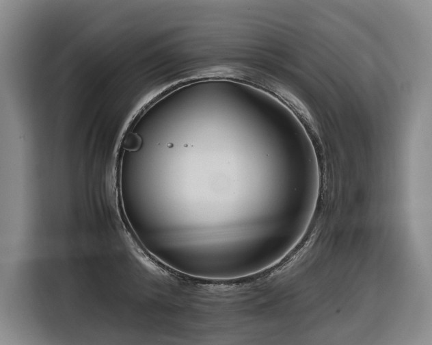 X0000116660800200912141319