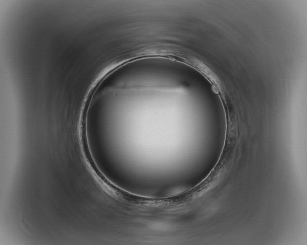 X0000116660803200912141319