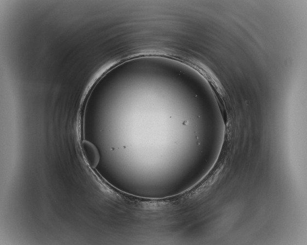 X0000116660804200912141319