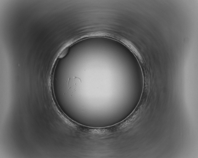 X0000116660805200912141319