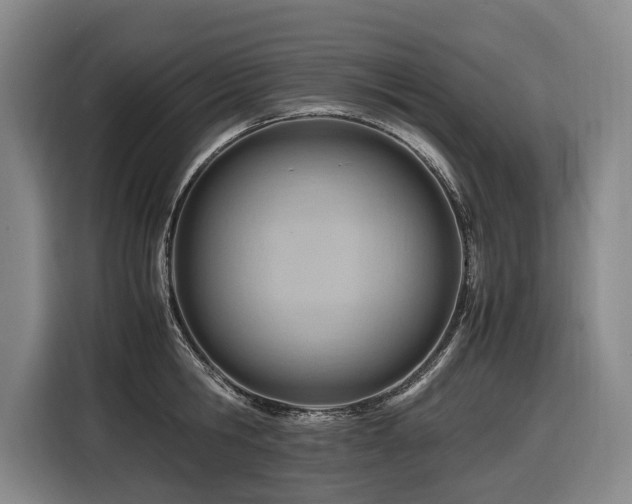 X0000116660806200912141319