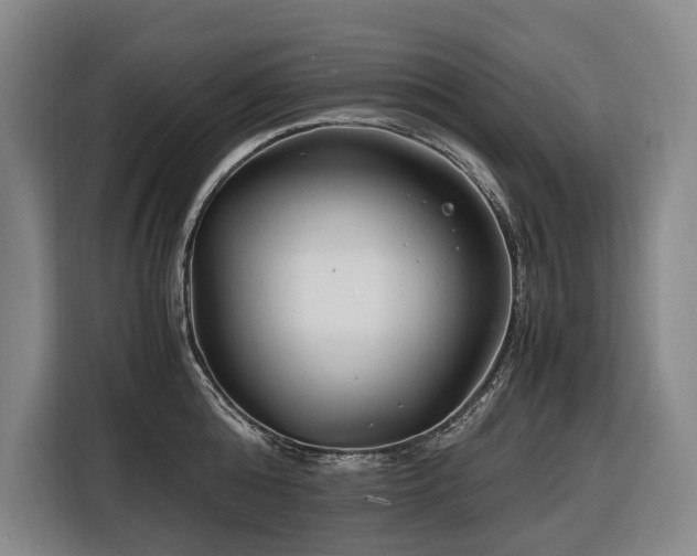 X0000116660808200912141319