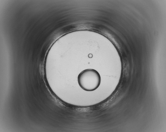 X0000116660810200912141319