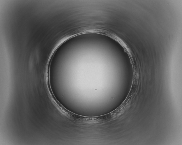 X0000116660811200912141319