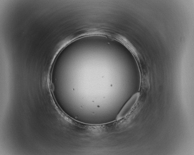 X0000116660813200912141319