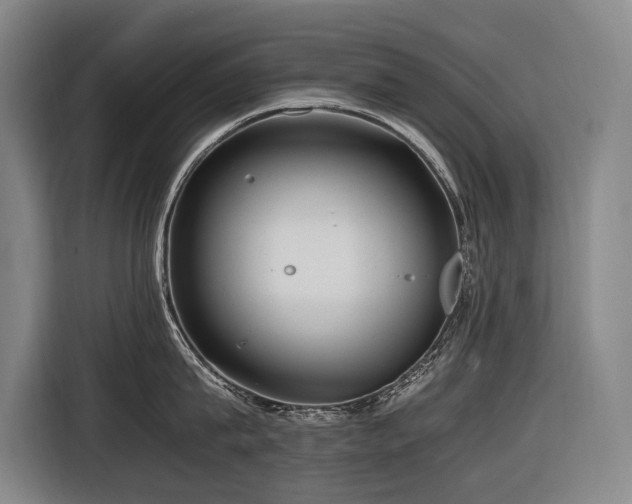 X0000116660815200912141319