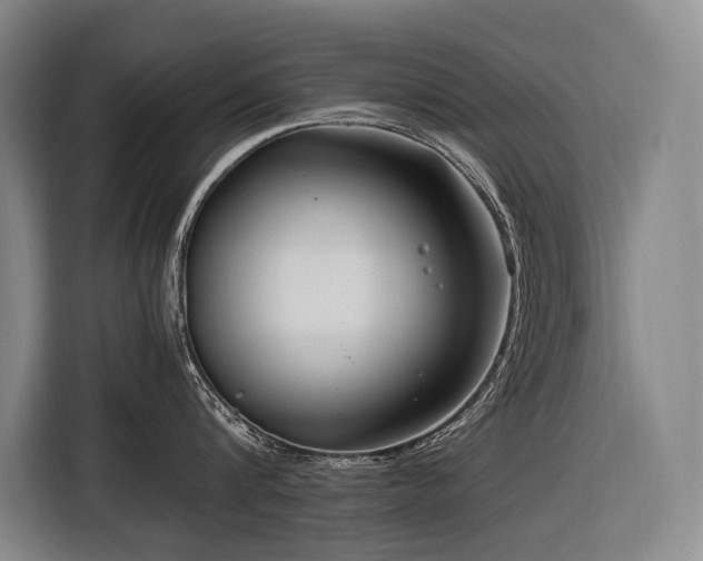 X0000116660816200912141319