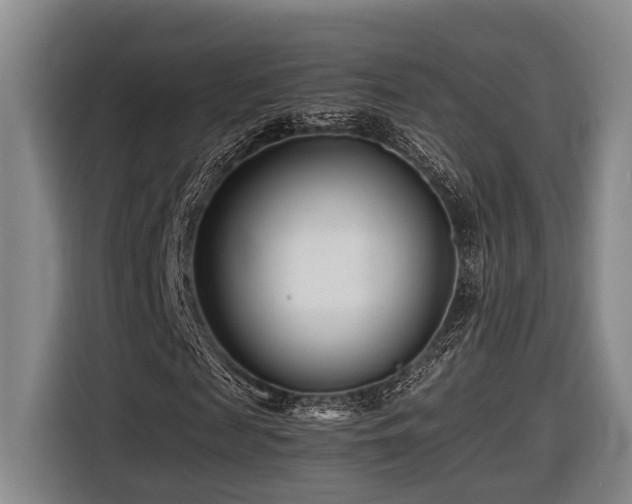 X0000116660817200912141318