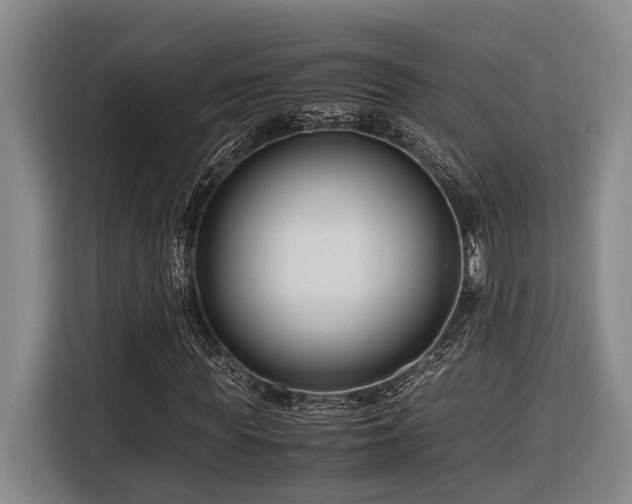 X0000116660819200912141318