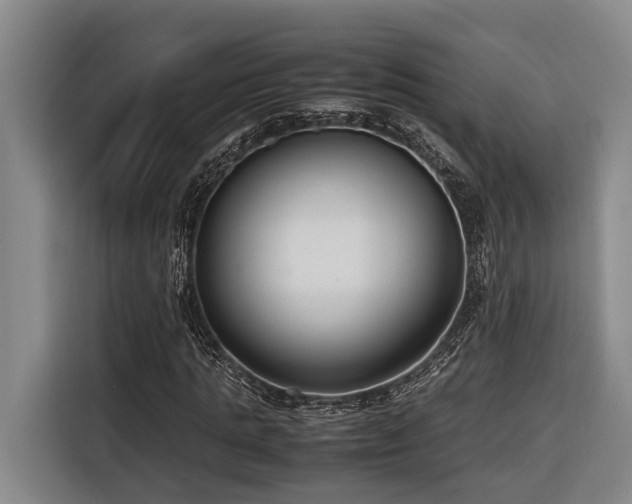 X0000116660821200912141318