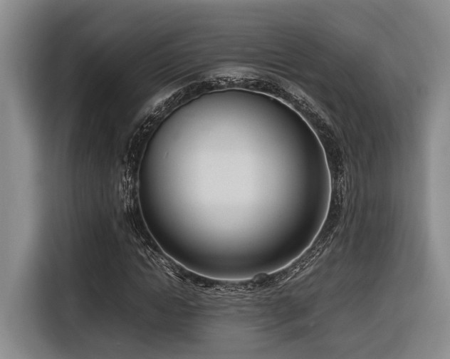 X0000116660822200912141319