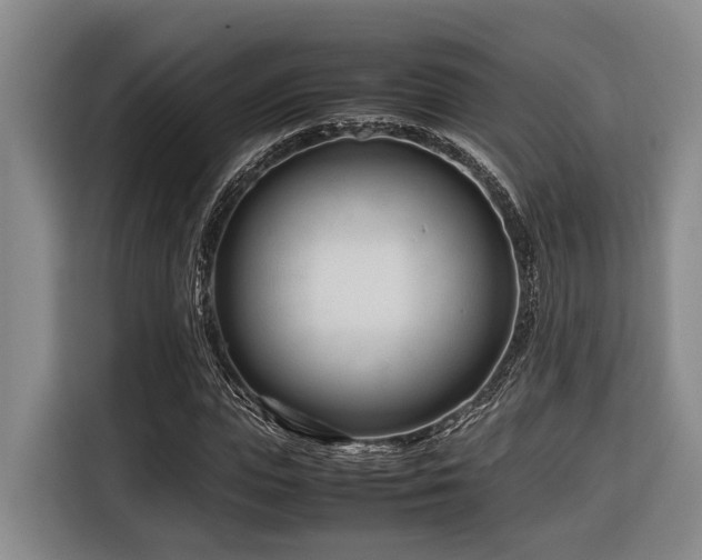 X0000116660823200912141319