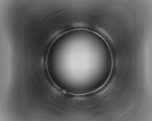 X0000116660825200912141319