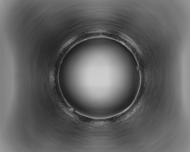 X0000116660826200912141319