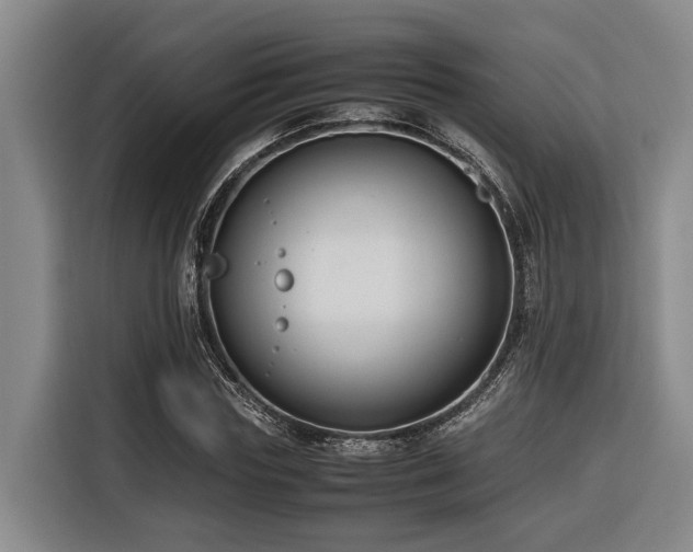 X0000116660827200912141319