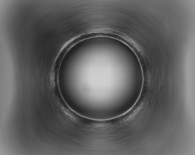 X0000116660830200912141319