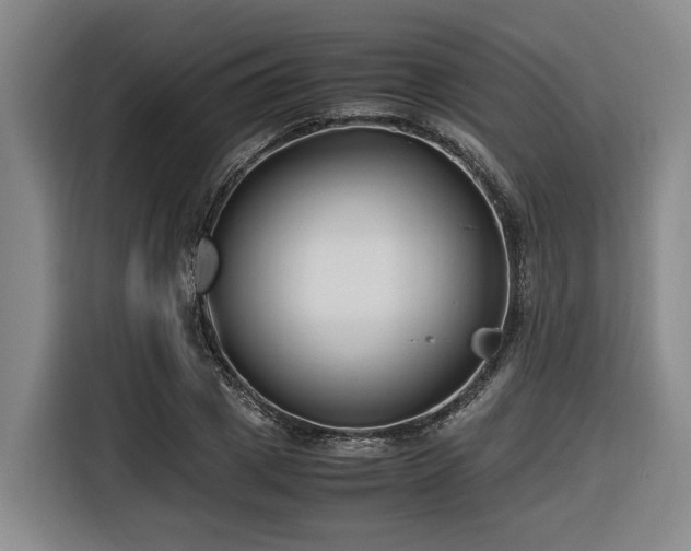 X0000116660833200912141319