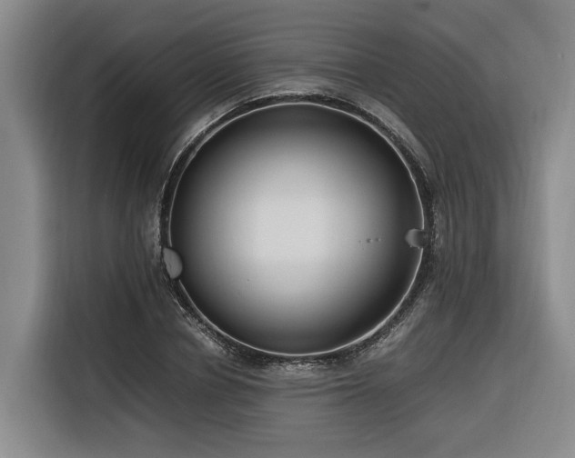 X0000116660834200912141319