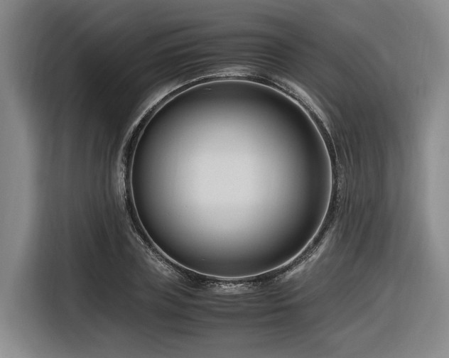 X0000116660835200912141319