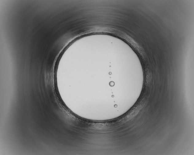 X0000116660836200912141319