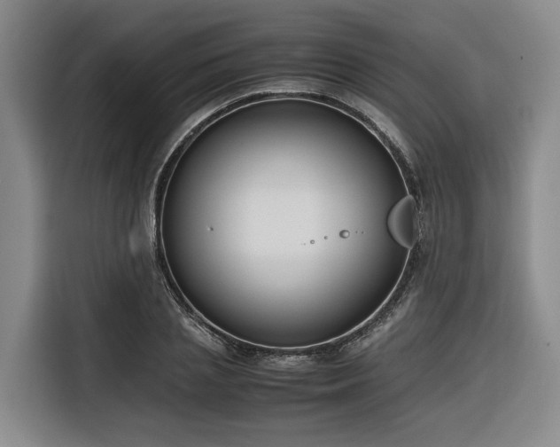 X0000116660837200912141319