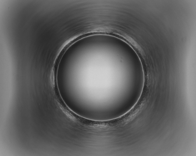 X0000116660838200912141319