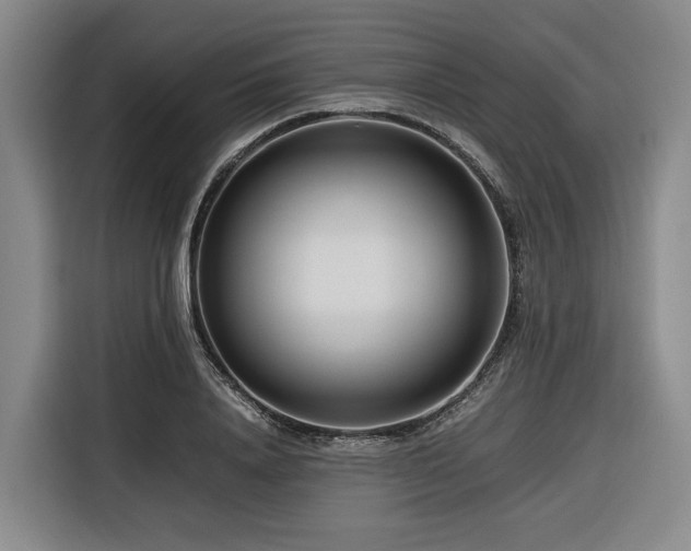 X0000116660840200912141319